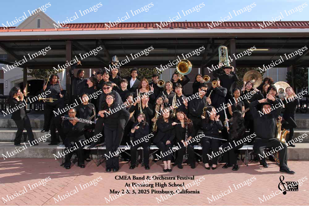 Musical Images